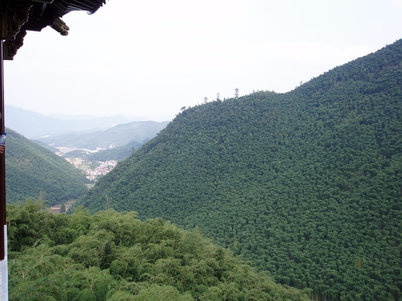 Excursion privée d'une journée au départ de Shanghai : ATV à Anji et rafting dans les gorges de Shenxi