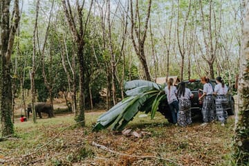 Khaolak Elephant Sanctuary, Cooking Class and Waterfall Tour