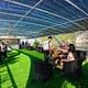 Halong Premium Day Cruises from HANOI going by PRIVATE LIMOUSINE