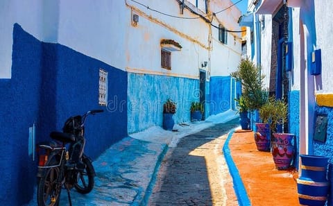 Full-Day Cultural Tour of Rabat from Casablanca