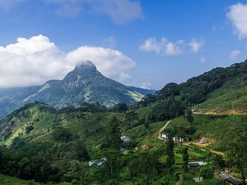 One-Day Trekking Adventure in Knuckles and Riverston, Sri Lanka