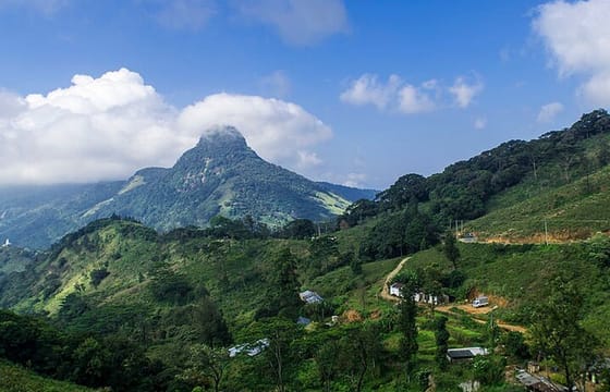 Knuckles and Riverston trekking in 1 day