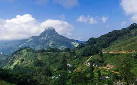 One-Day Trekking Adventure in Knuckles and Riverston, Sri Lanka