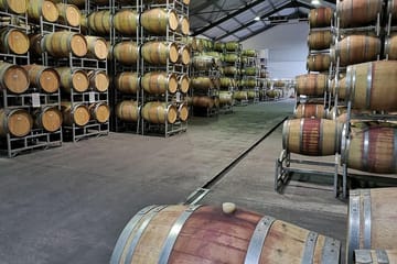 Private Cape Winelands Tour from Stellenbosch, Franschhoek, or Paarl