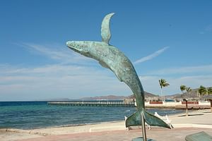 Explore Old Mining Towns, Fishing Villages, Artist Town and the City of La Paz 