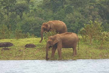 Cultural Tour of Ajanta, Alappuzha, and Aurangabad