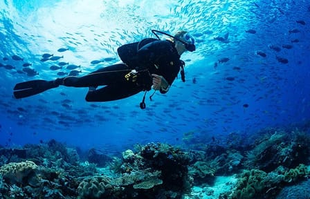 3 Hour Guided Scuba Diving in Trincomalee