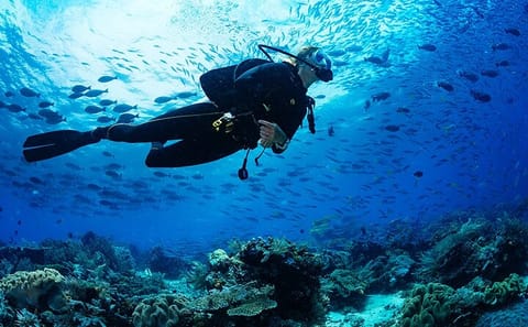 Guided Scuba Diving Tour in Trincomalee, Sri Lanka