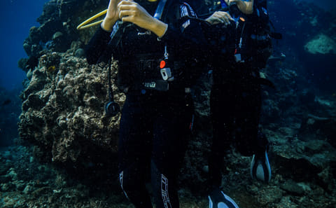 Introductory Scuba Diving Experience in Jeddah