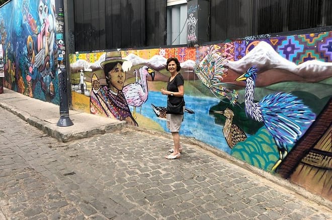 PRIVATE TOUR: Pre-Post Cruise Vi&ntilde;a del Mar Valparaiso and Casablanca Winery tour