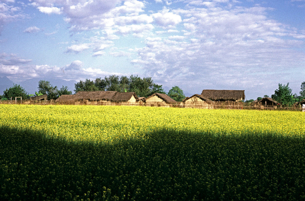 19 Days Mera Peak Climbing & Expedition – One Life-Changing Himalayan Adventure