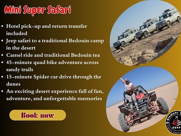 3-Hour Mini Super Safari: Quad, Jeep, Spider Car, Camel & Tea