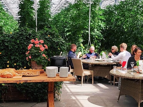 Fridheimar restaurant