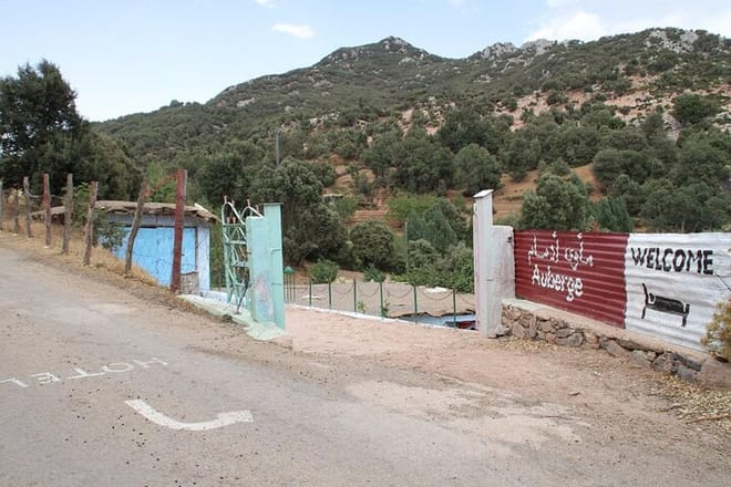 "Deer of the Atlas: Tazekka Natural Park & Ifrane Eco Tour | Private & Luxury 7