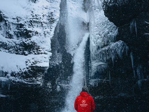 Chat with a Midgard Travel Expert, photo 6