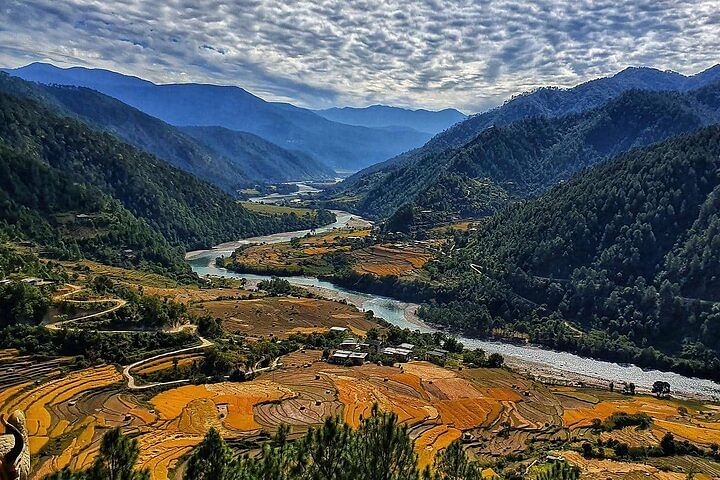 In-depth Bhutan Cultural and Nature Tour: Monasteries, Dzongs & Local Experiences