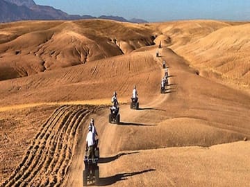 Quad Bike