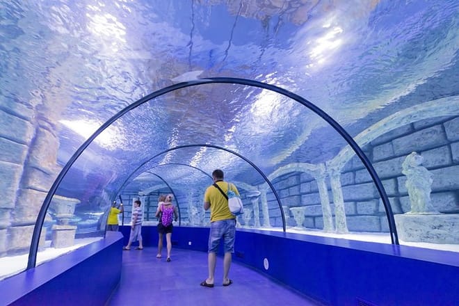 Kemer: Antalya Aquarium Ticket With Optional Transfer 5