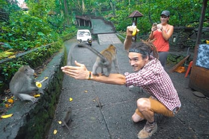 Ubud Skip the line Monkey Forest Sanctuary Ticket and Guided Tour