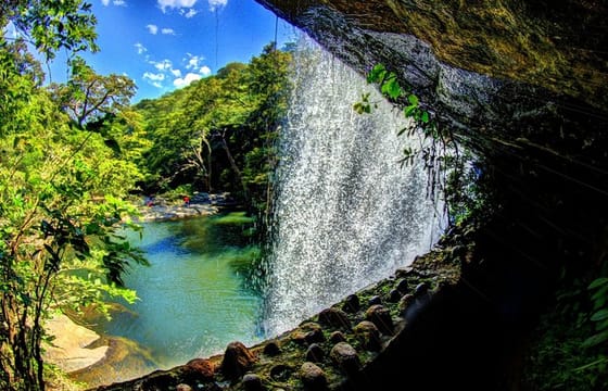 Knuckles and Riverston Trekking Experience From Kandy