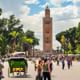 Half-Day Marrakech Highlights: Medina, Palaces, and More