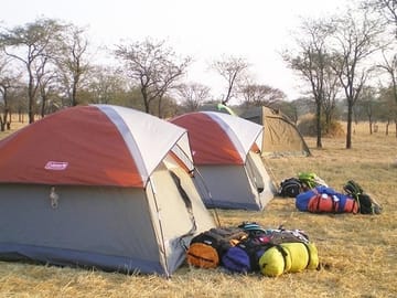 4-Day Camping Safari in Tanzania: Lake Manyara to Serengeti