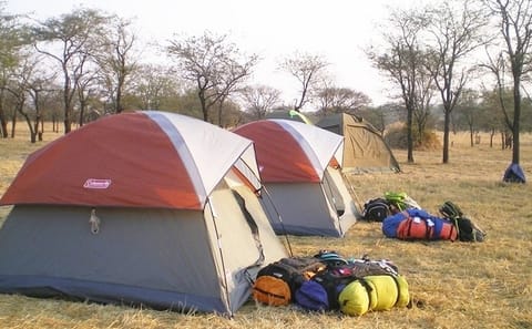 4-Day Camping Safari in Tanzania: Lake Manyara to Serengeti