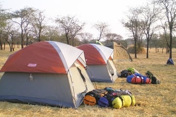4-Day Camping Safari in Tanzania: Lake Manyara to Serengeti