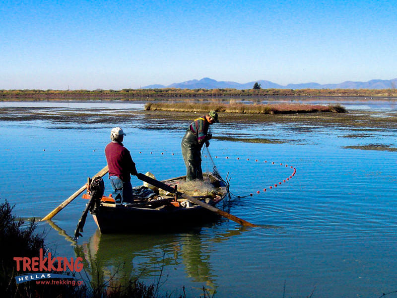 Canoeing Amvrakikos 4