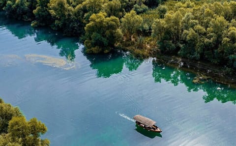 Skadar Lake Boat Tour with Vranjina Monastery Visit and Wine Tasting