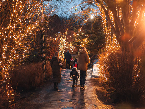 The Icelandic Christmas Advent Driving Tour, photo 7