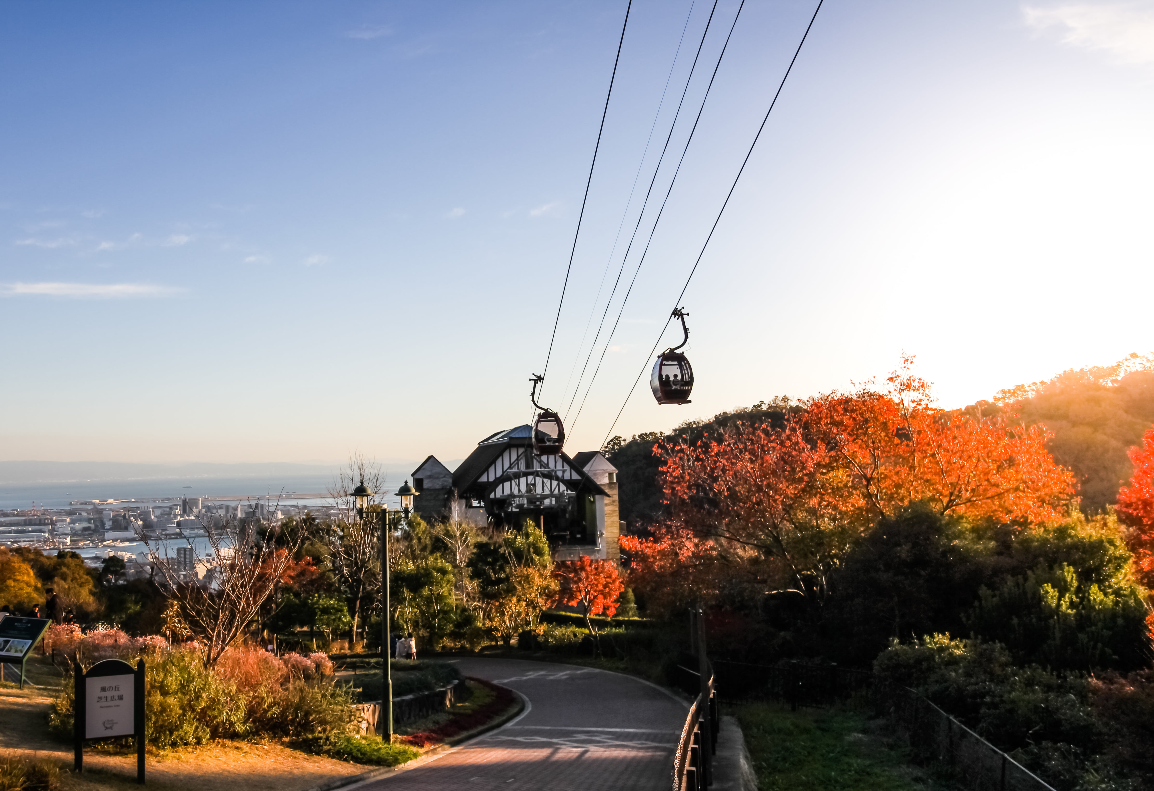 Kobe Custom Day Tour