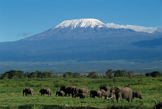 3-Day Amboseli and Tsavo West from Nairobi