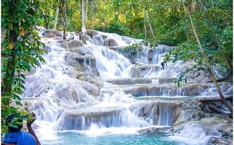 Dunn’s River Falls and Blue Hole Rafting Adventure in Jamaica