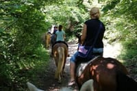 1 Hour Waterfalls Canyon Private Horse Riding in Smolyan  3