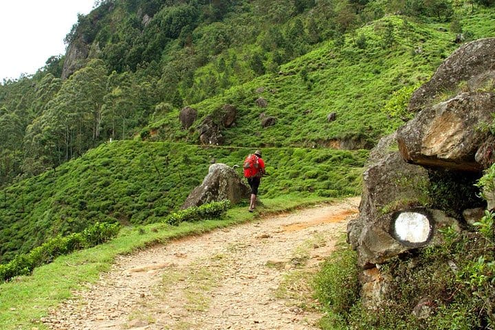 Horton Plains National Park Tour With Scenic Train Ride
