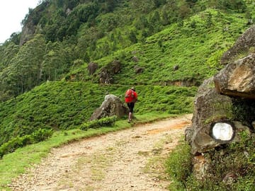 Horton Plains National Park Tour With Scenic Train Ride