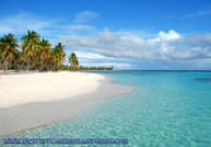 Saona Island VIP - Full Day Excursion! 1