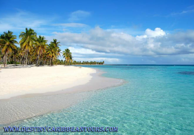 Saona Island VIP - Full Day Excursion!