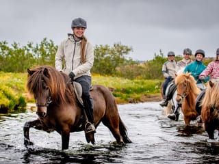 Classic Whales & Viking Horses, photo 11