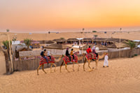 Dubai  Overnight Heritage Desert Safari in a Camel 1