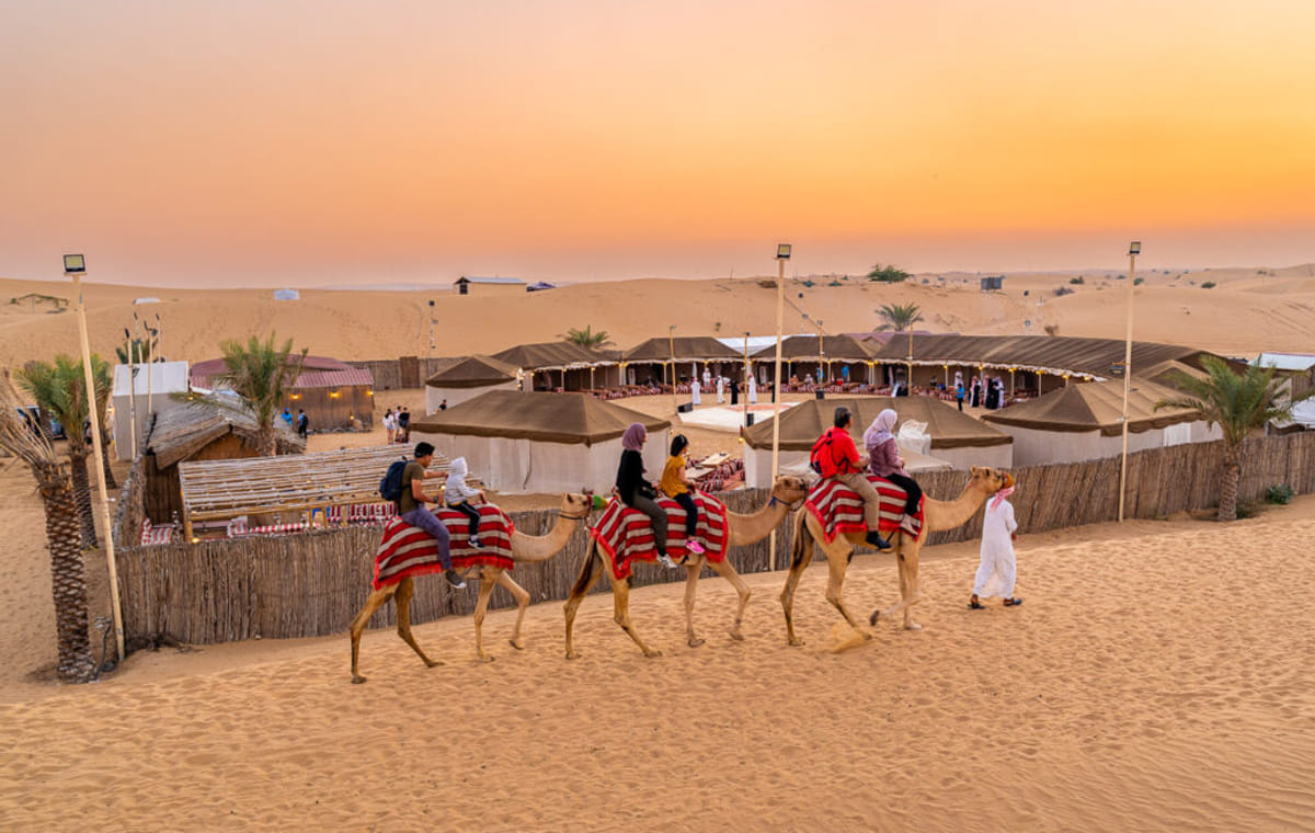 Dubai  Overnight Heritage Desert Safari in a Camel
