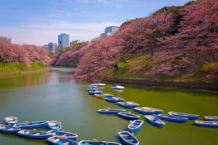 2-Day Tour: Mt Fuji and Tokyo Private Wagon & English Driver