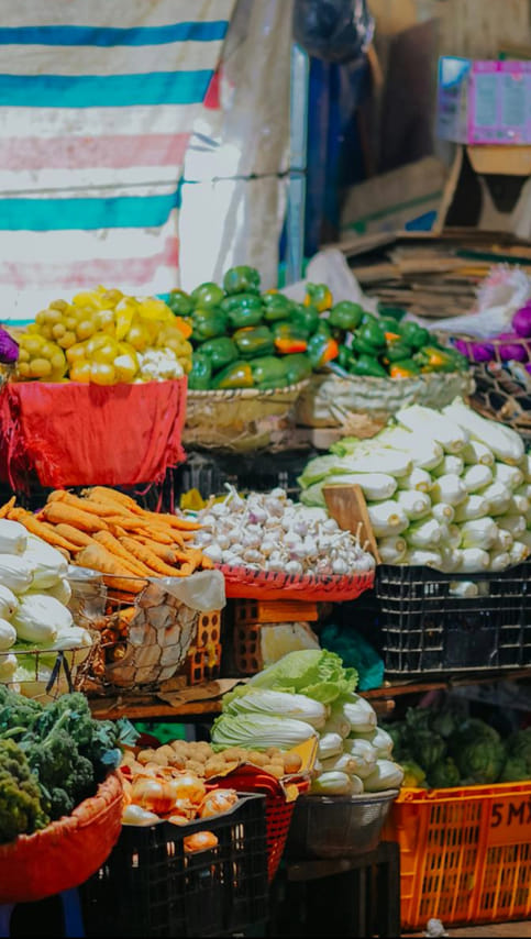 Civitavecchia Shore Excursion: Authentic Italian Market & Foodie Walk 2
