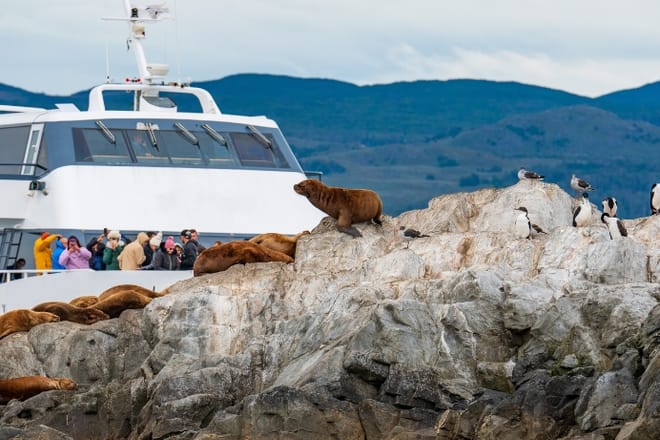 Navegacion Beagle - Isla de Lobos 4