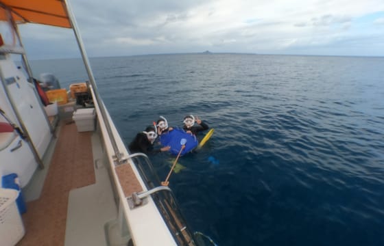 Okinawa: Boat Snorkeling 2 Rounds at Minna, Sesoko or Motobu