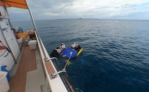 Snorkeling Adventure at Minna, Sesoko, or Motobu in Nago
