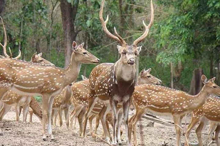 Jaipur Heritage walk Tour