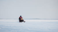 Snowmobile Safari Experience Driving into Lappish Forests 2H	 4