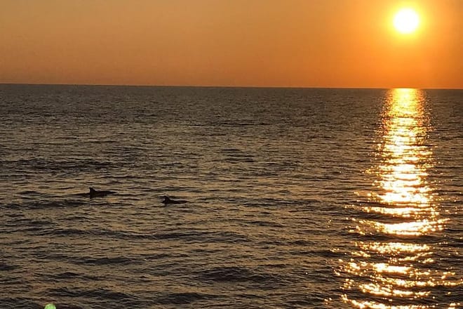 Sunset and dolphin excursion Pula - ship Ulika 10